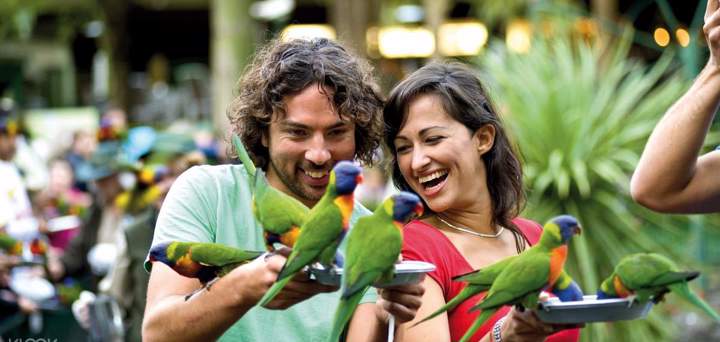 Currumbin Wildlife Sanctuary